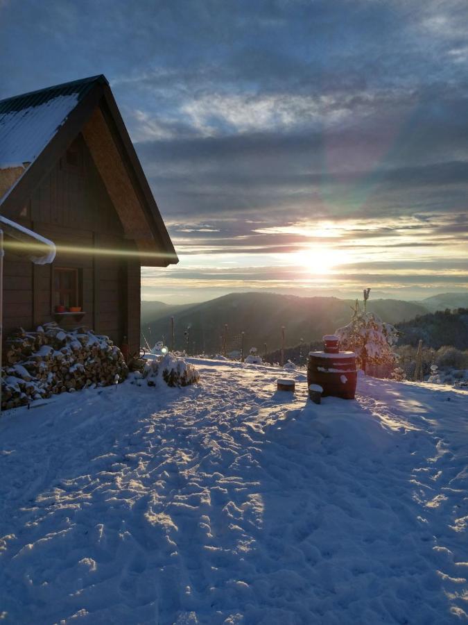 Villa Vikendica Rankovici à Mokra Gora Extérieur photo