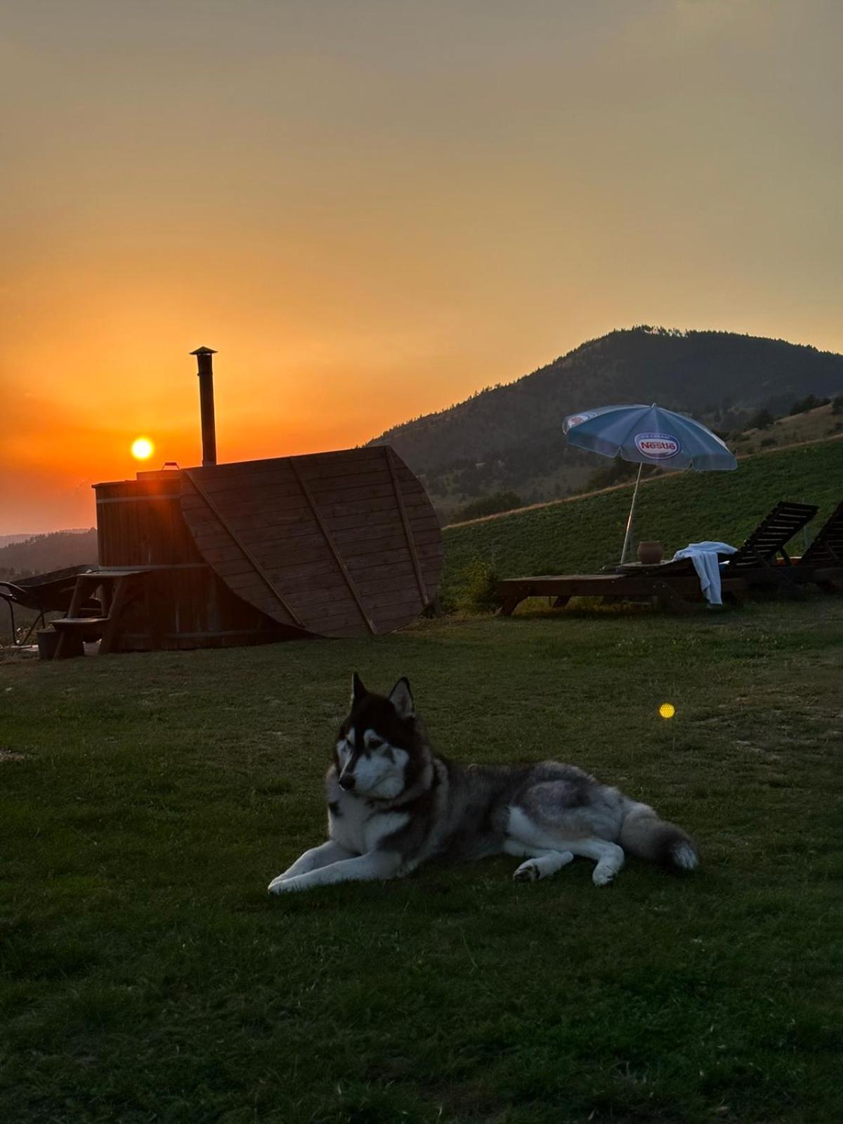 Villa Vikendica Rankovici à Mokra Gora Extérieur photo