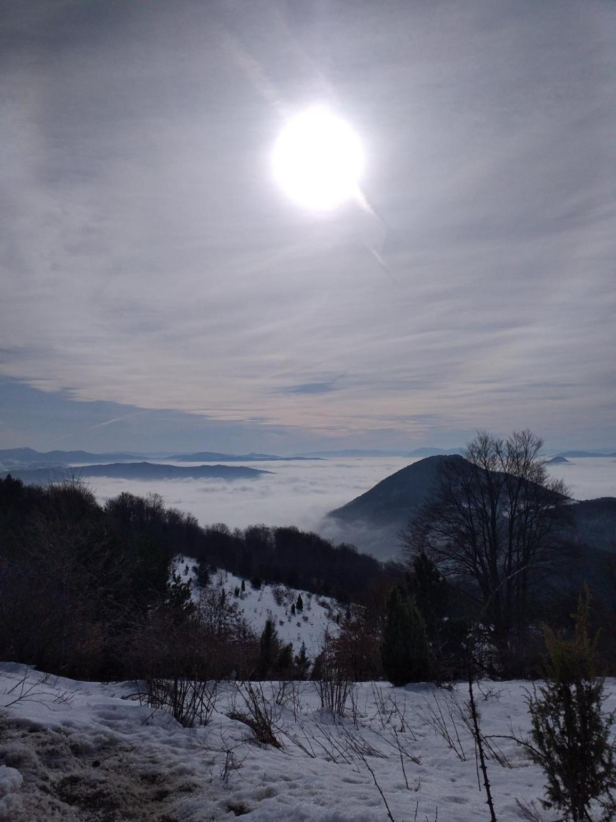 Villa Vikendica Rankovici à Mokra Gora Chambre photo